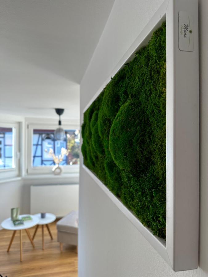 Turm.Blick Apartment Goslar Ngoại thất bức ảnh