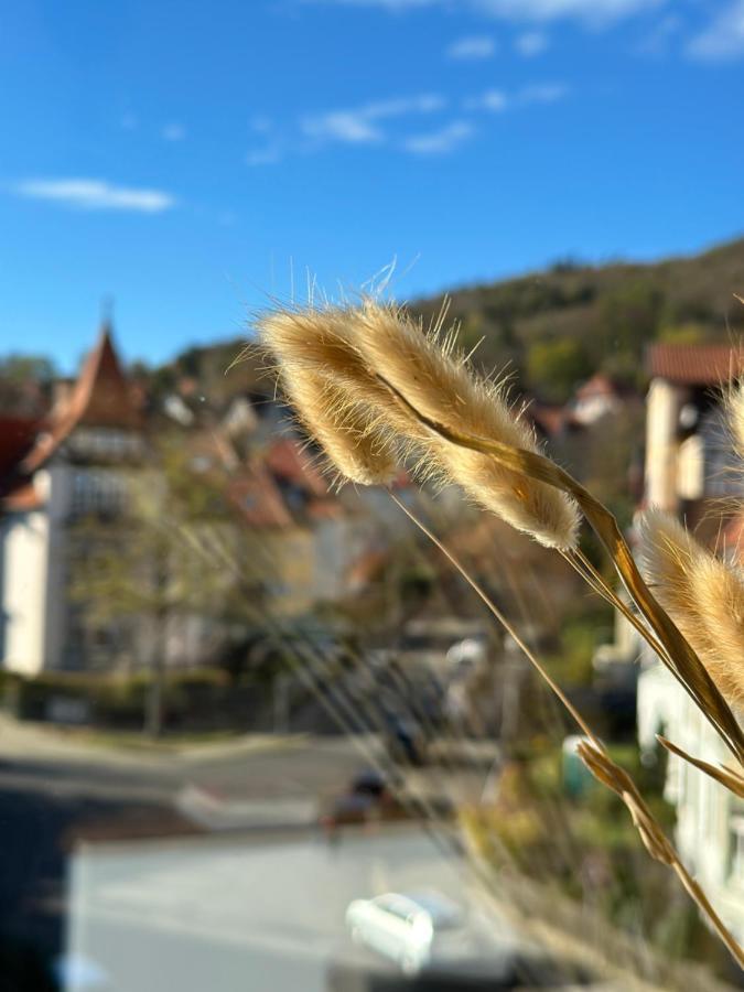 Turm.Blick Apartment Goslar Ngoại thất bức ảnh