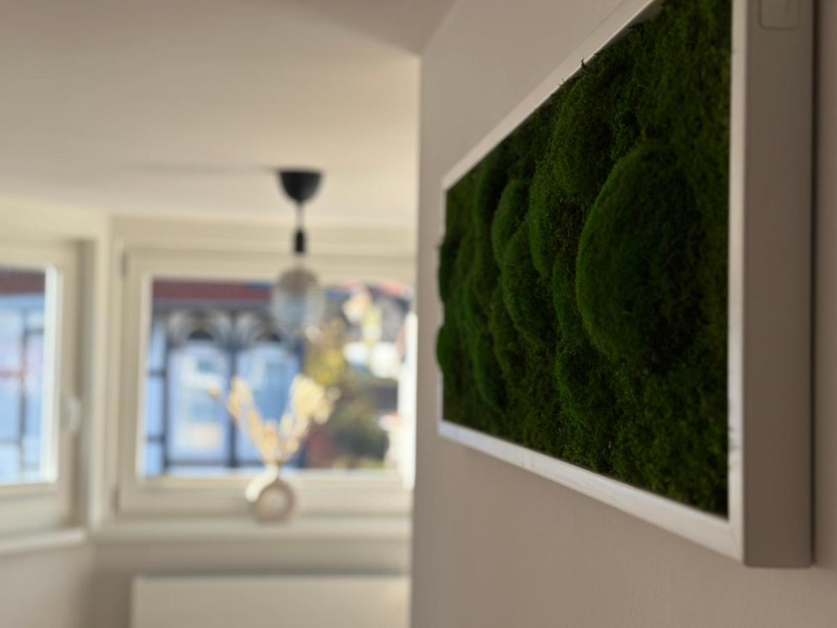Turm.Blick Apartment Goslar Ngoại thất bức ảnh